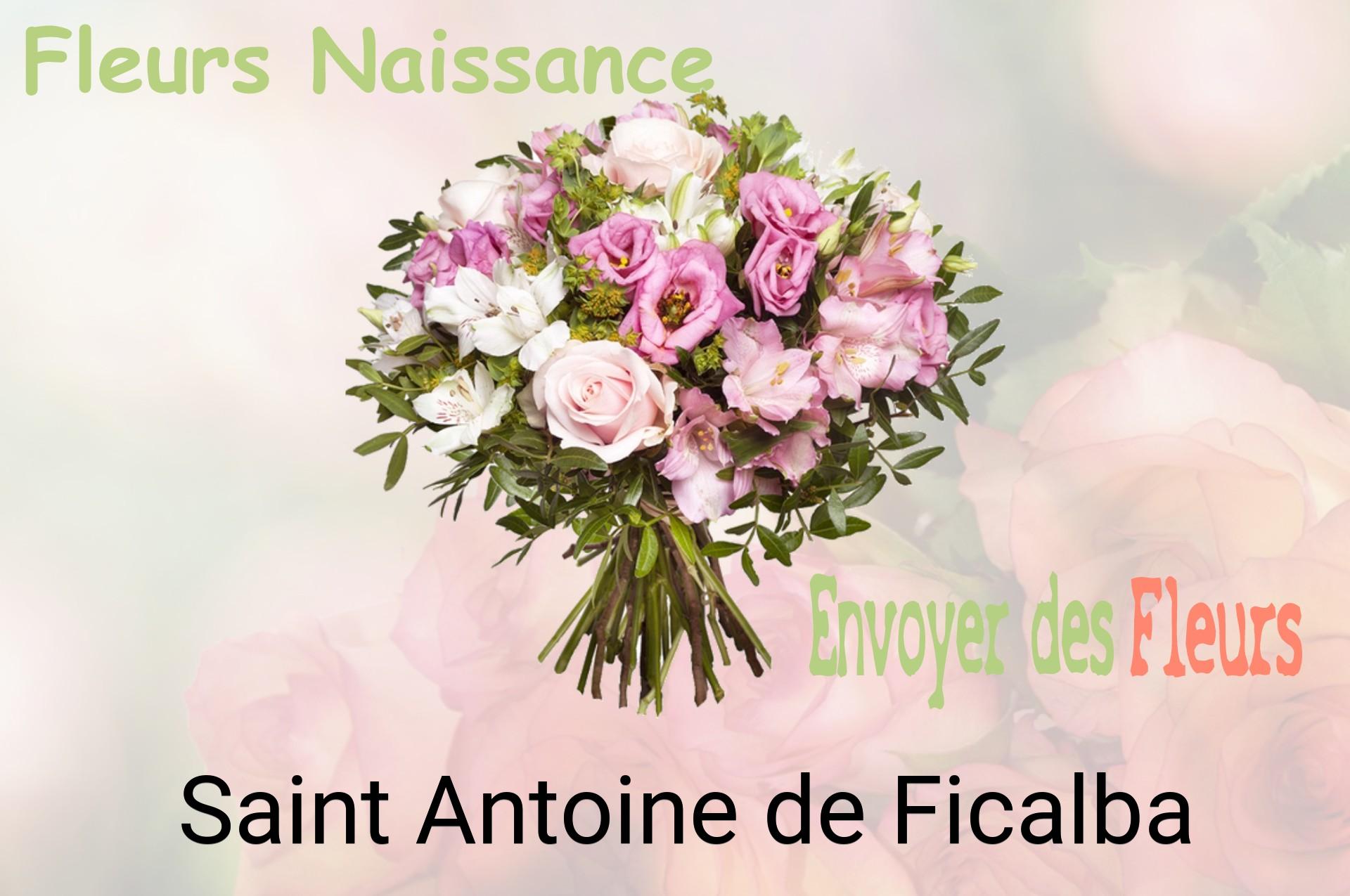 Bouquet de fleurs de naissance livré à Saint-Antoine-de-Ficalba